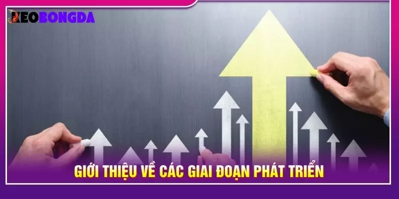 Giới thiệu về các giai đoạn phát triển