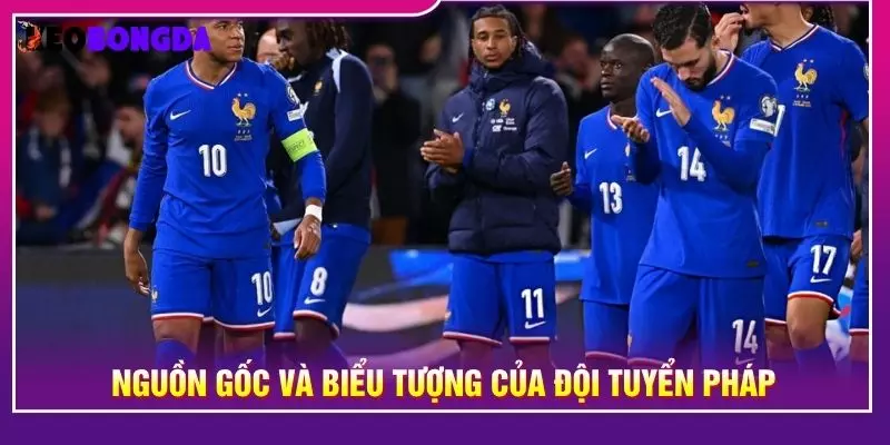 Nguồn gốc và biểu tượng của đội tuyển Pháp