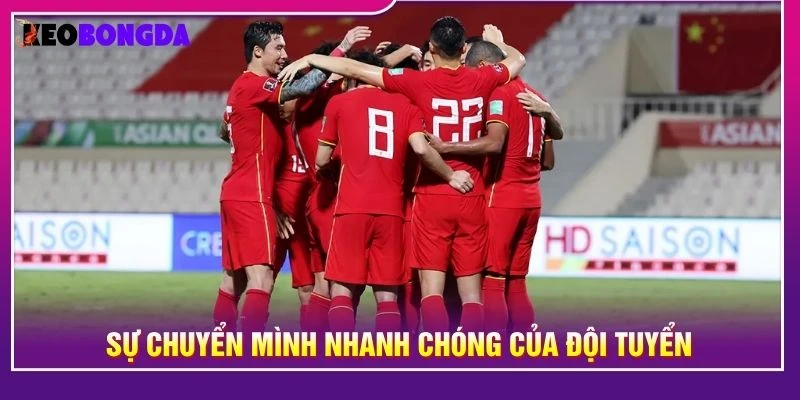 Sự chuyển mình nhanh chóng của đội tuyển